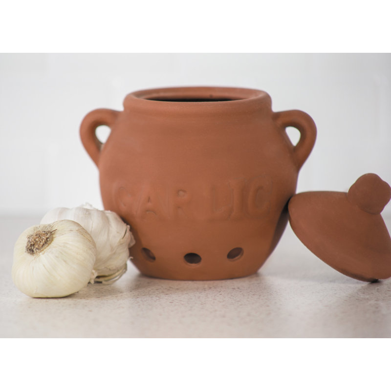 Rebrilliant Garlic Storage Jar & Reviews Wayfair